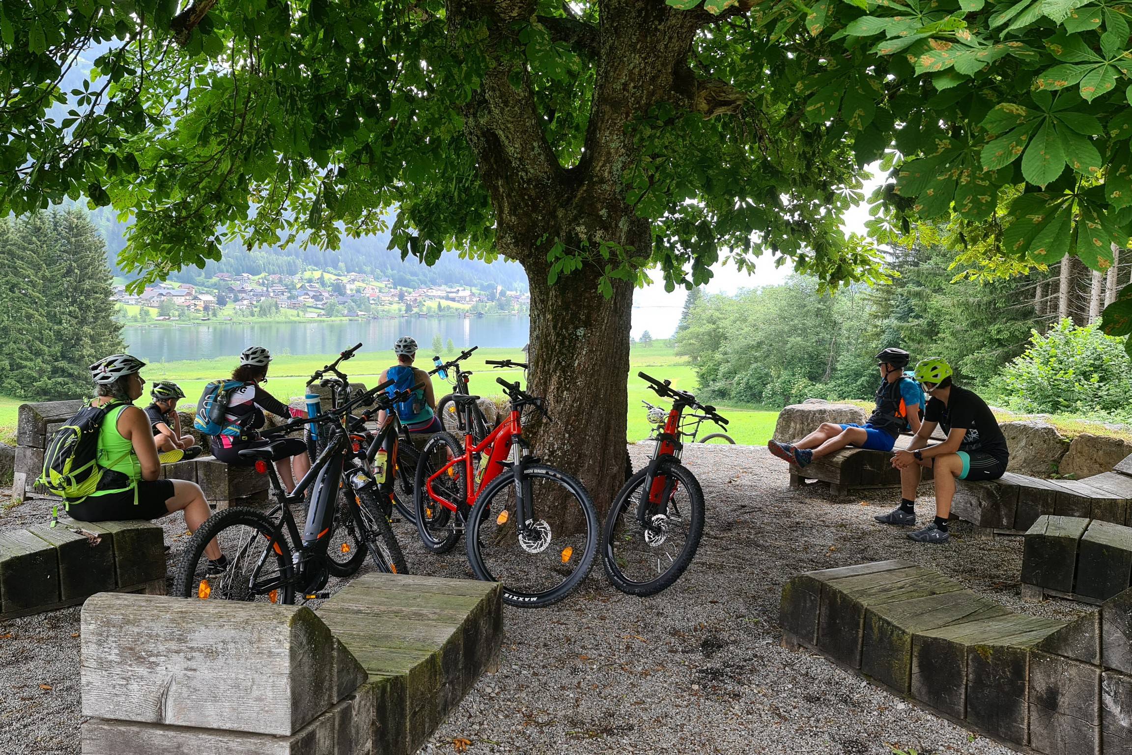 Radfahrer unter einem Baum