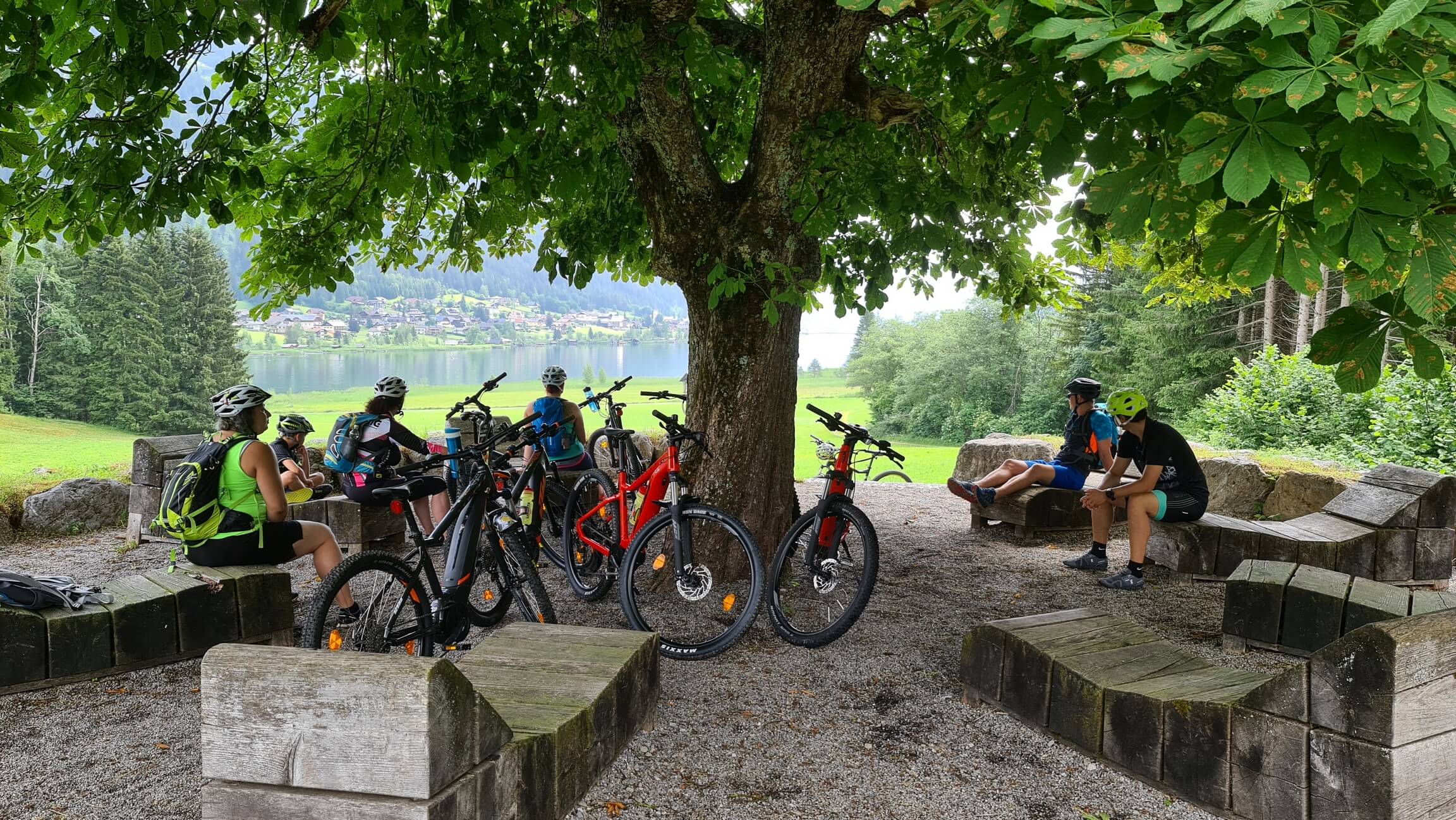 Radfahrer unter einem Baum